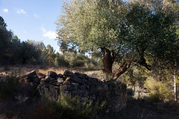 Dry Stone in Teruel province