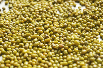 Mung bean