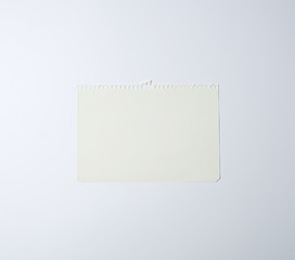 white sheet of paper torn from a spiral notebook