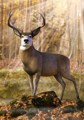 Noble Beautiful Free Deer Stag in the Forest