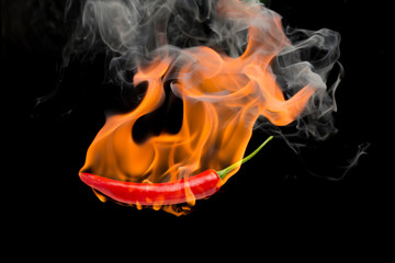Red chilli with flame, black background, the concept of spicy - pictures
