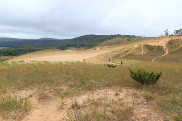 Obraz premium Blick über die Dünen im Sleeping Bear Dunes National Lakeshore