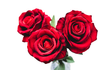Close up bouquet of red roses