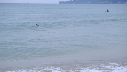 Obraz premium 無題