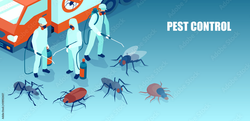 Wall mural pest control professional team exterminating insects