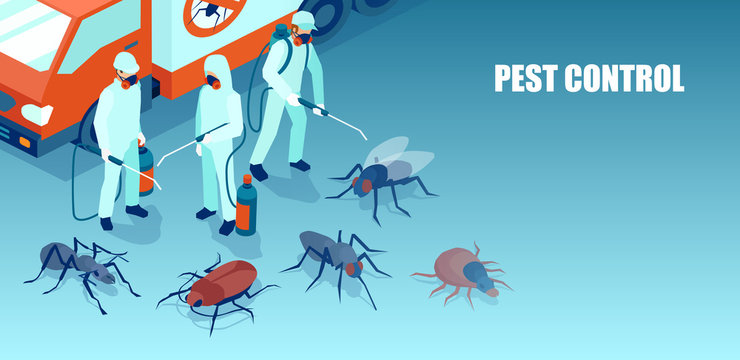 pest control professional team exterminating insects