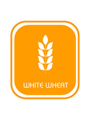 Wheat on a light background