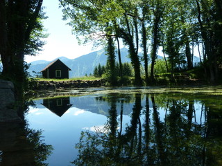 Obraz premium Spiegelung