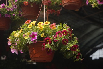 Flower basket
