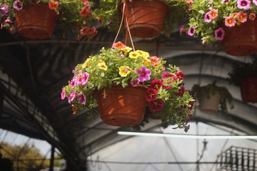 Flower basket