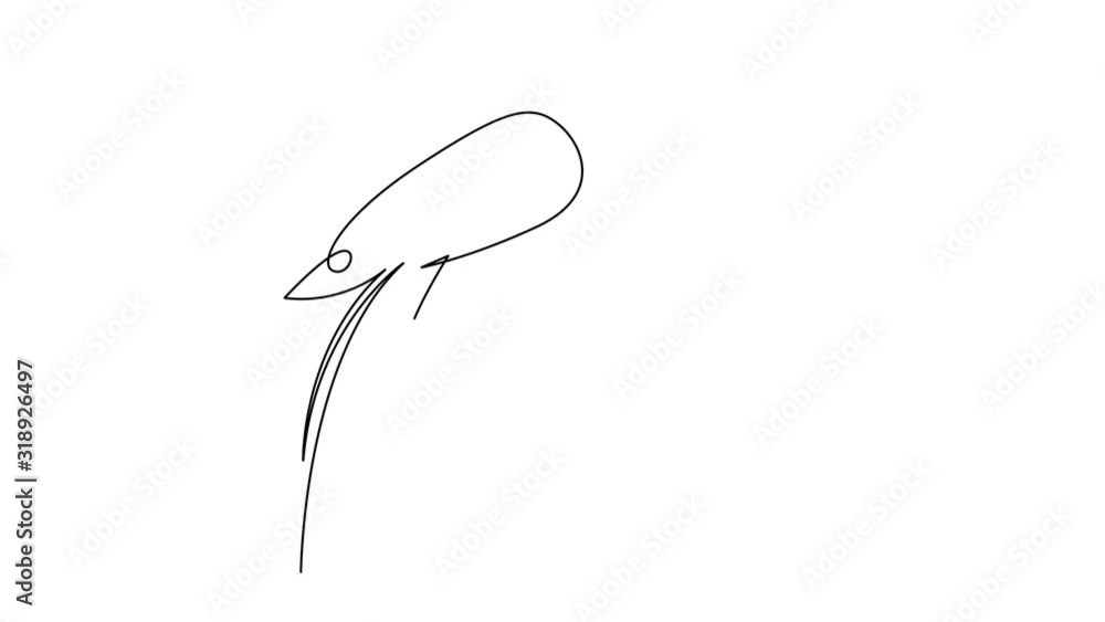 Poster self drawing simple animation of single continuous one line drawing of shrimp. drawing by hand, blac