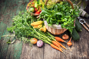 Gardening farming fresh organic vegetables and spicy herb with bed. Still life with wicker basket basil and parsley on old wooden board in rustic style top view.