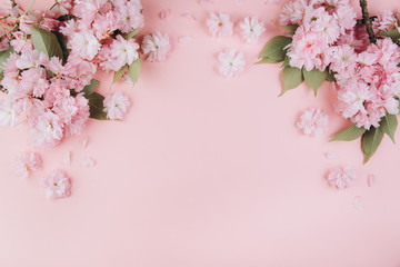 Sprigs of the sakura tree with flowers and petals on a pink background. Place for text. The concept of spring came. Top view. Flat lay