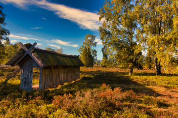 Goldener Herbst in der Lüneburger Heide bei Undeloh