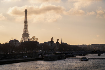Fototapeta na wymiar View of Paris at sunset with the Eiffel Tower and the bridge Alexander III - Paris, France