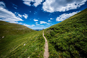 trail above treeline in Colorado