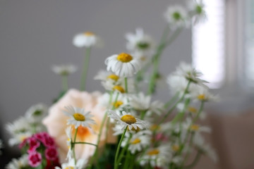 Handpicked flowers from a garden, arranged in a vase. Selective focus.
