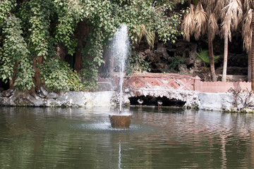 Obraz premium A water fountain from inside a pool of water