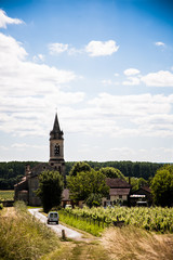 Fototapeta na wymiar European church In vineyard