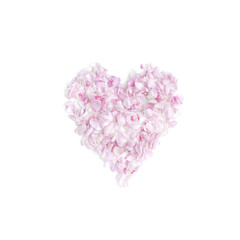 Heart with pink petals on the white background. Flat lay. Top view