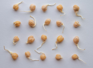 sprouted pea seeds on white background