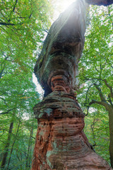 Altschlossfelsen im Pf&auml;lzer Wald
