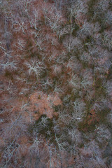Miera River Valley, Cantabria, Spain, Europe