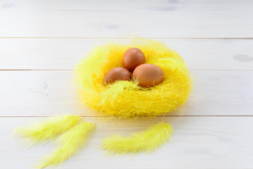 Chicken eggs in a nest with yellow feathers. Easter concept.