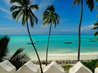 Traumhafter, karibischer Auslblick durch Kokos Palmen auf das türkise Meer auf Sansibar