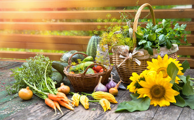Gardening farming fresh organic vegetables and spicy herb with bed. Still life with wicker basket...