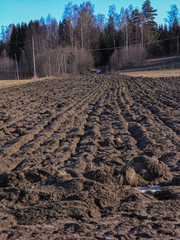 furrows in field