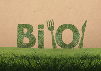 Bio, lettres bio dans l'herbe, concept