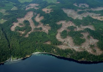 aerial view of deforestation along the Vancouver island, BC Canada