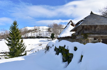 Famous Piornedo mountain village after a snowfall with ancient Palloza stone house with thatched roof, wooden granary and fir tree. Ancares, Lugo, Galicia, Spain.