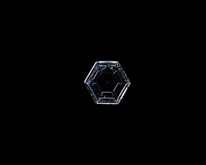 Natural snowflake isolated on a black background. Super macro photo of real snow crystal on black background. 