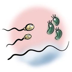  Two sperm met three microbes
