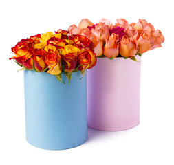 Beautiful boxes with fresh roses isolated on white background