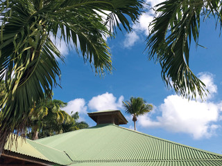 Green roof of caribbean house, palm trees and blue cloudy sky. Martinique, French West Indies.
