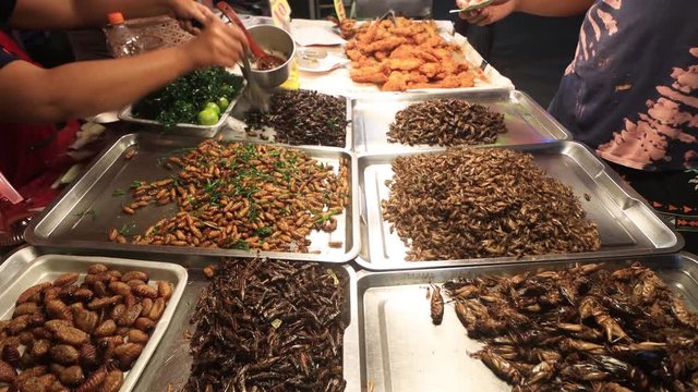 Insects, bugs, grubs, and worms sold as food at night street market in Asia 