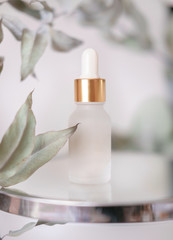 Fototapeta na wymiar Glass jar with a pipette, serum, oil or essence on a background of eucalyptus foliage. Anti-aging cosmetics.