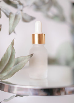 Glass jar with a pipette, serum, oil or essence on a background of eucalyptus foliage. Anti-aging cosmetics.
