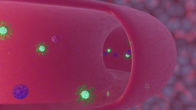 Corona Virus in blood vessel with antibodies. Corona Virus outbreak. Corona virus in lung with antibodies 3d rendered animation. Deadly new pneumonia.