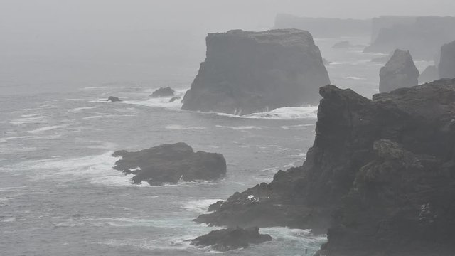 Sea stacks and cliffs in the mist at Eshaness / Esha Ness, peninsula in Northmavine on the island of Mainland, Shetland Islands, Scotland, UK
