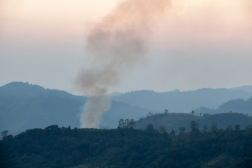 Fototapeta na wymiar Smoke from the forest in mountain
