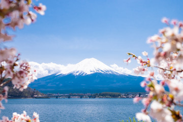 Fuji mountain with snow cap at Kawaguchiko lake and unfocused cherry blossom.