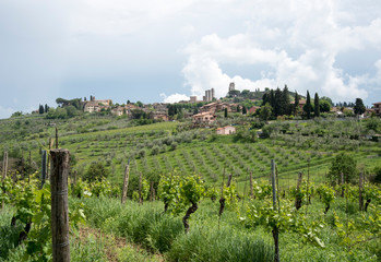 Fototapeta na wymiar Tuscan Winery