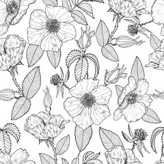 Seamless pattern with outline wild roses on the white background. Endless black end white texture with rosehip. Decorative seamless background for greeting cards, interior, cosmetics and textiles.