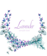 Watercolor lavender flowers with green leaves. Vectors