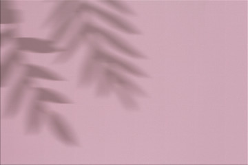 mockup with the shadow of a twig, pink pastel gamma