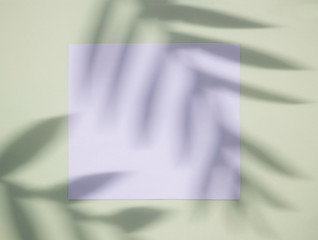 mockup with the shadow of a twig, pastel gamma